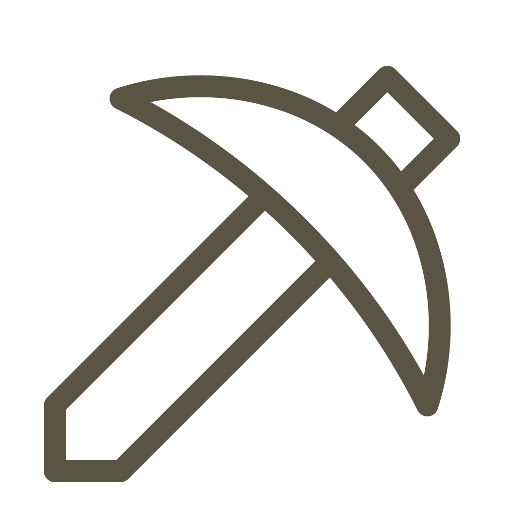 Developer