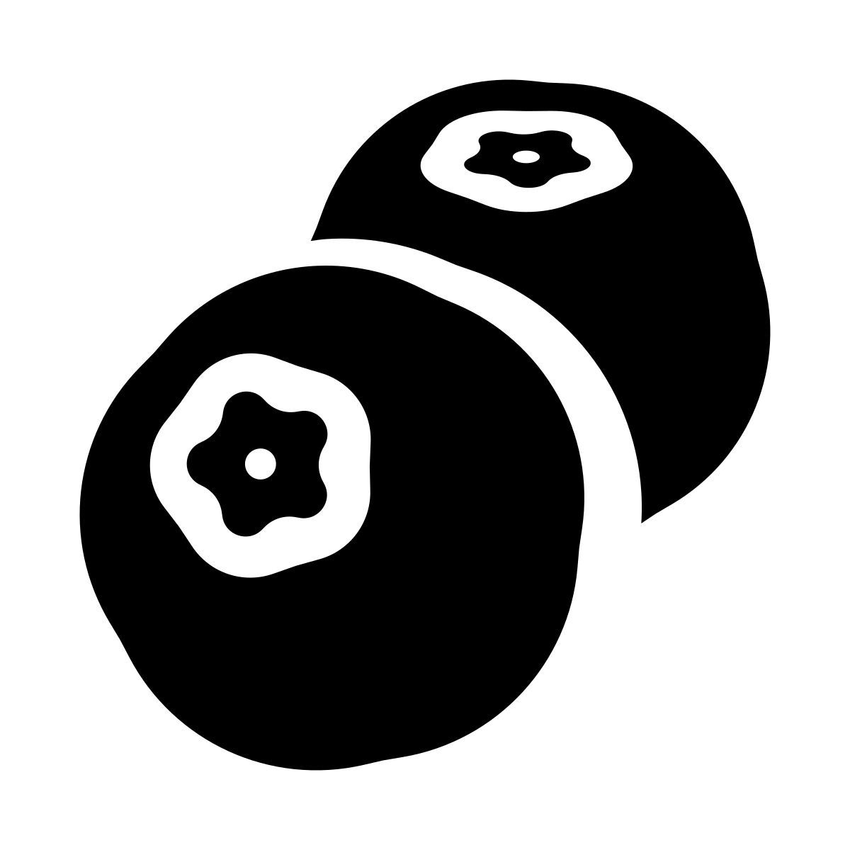 glyph neue style blueberry icon
