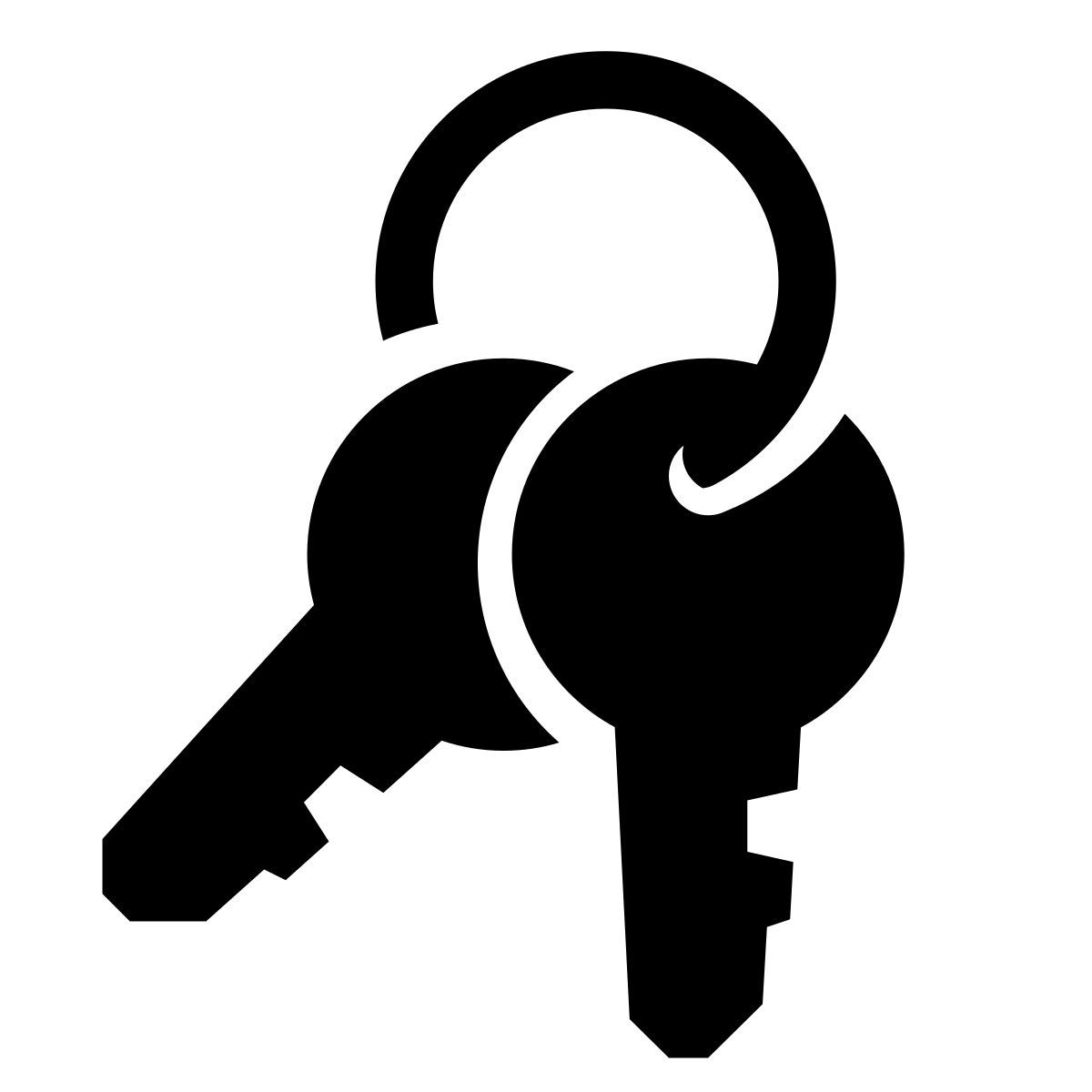 glyph neue style キーの束 icon