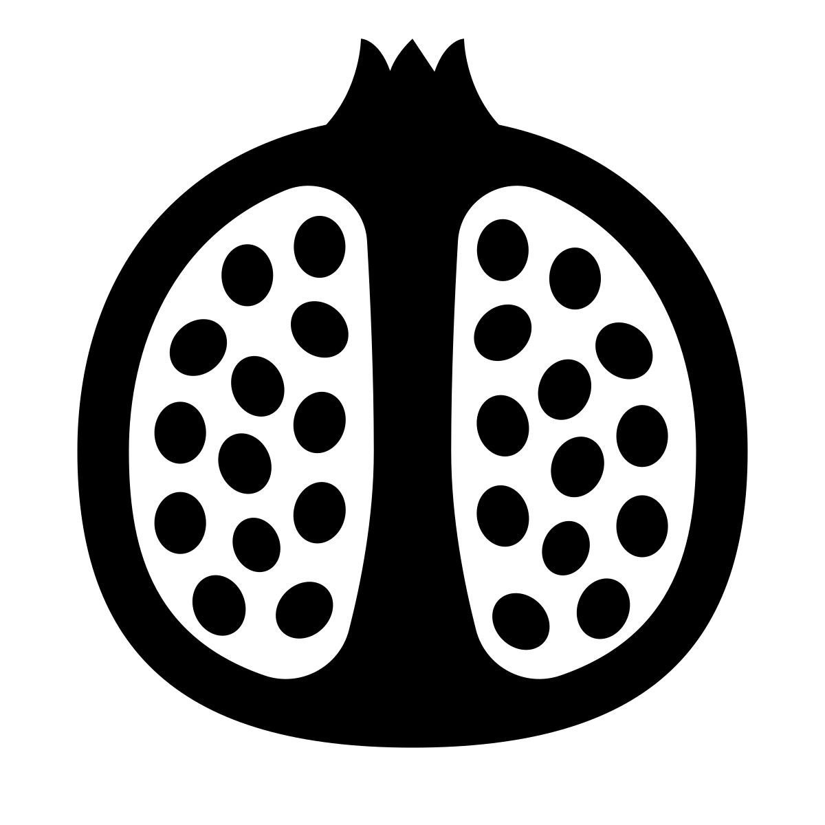 glyph neue style granatapfel icon