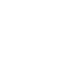 palm-tree