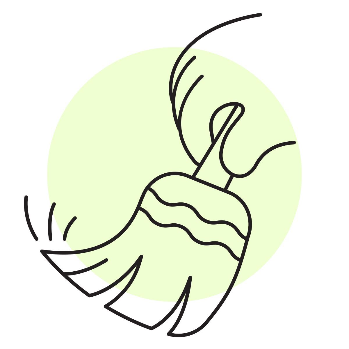 handsy style balayer icon