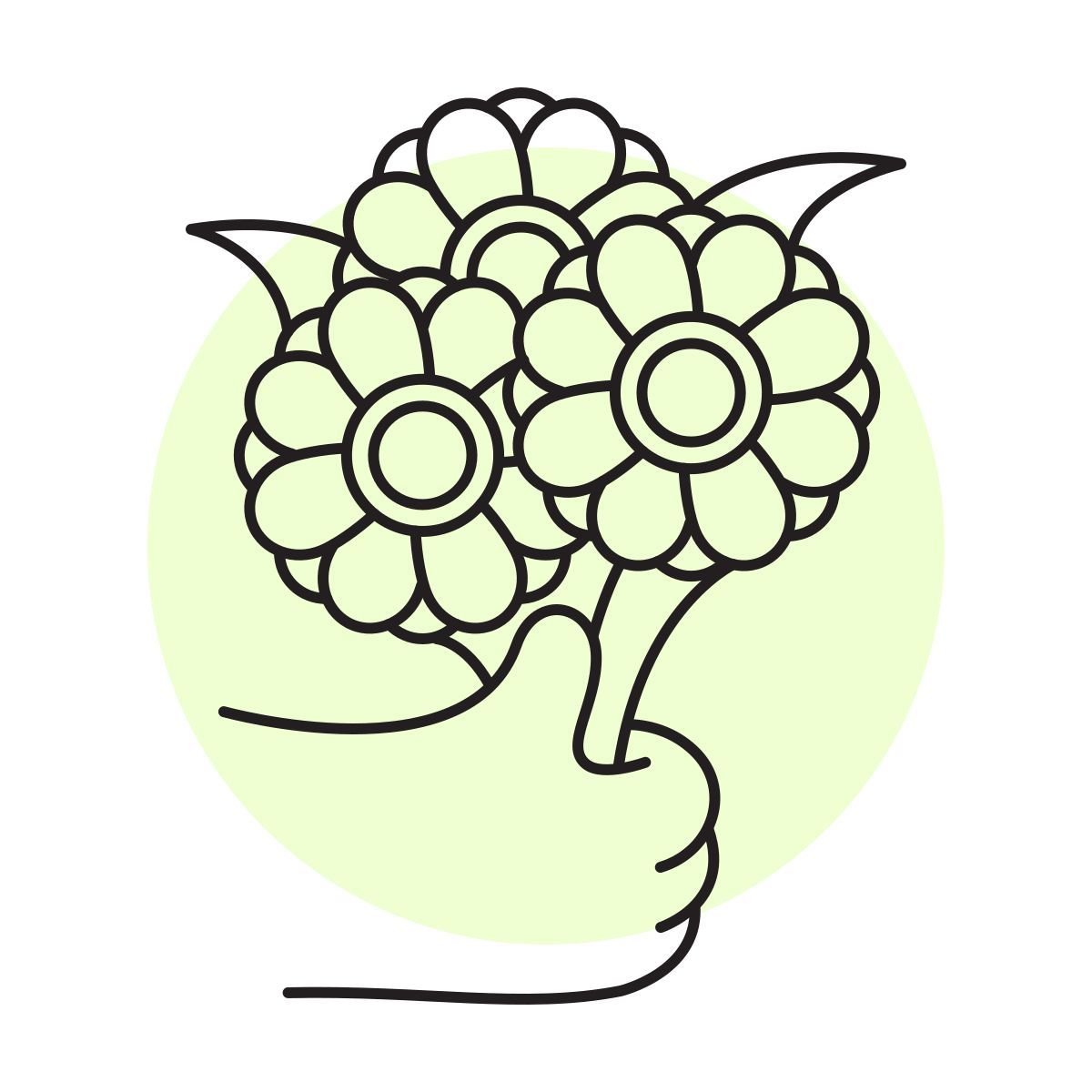 handsy style buquê de flores icon