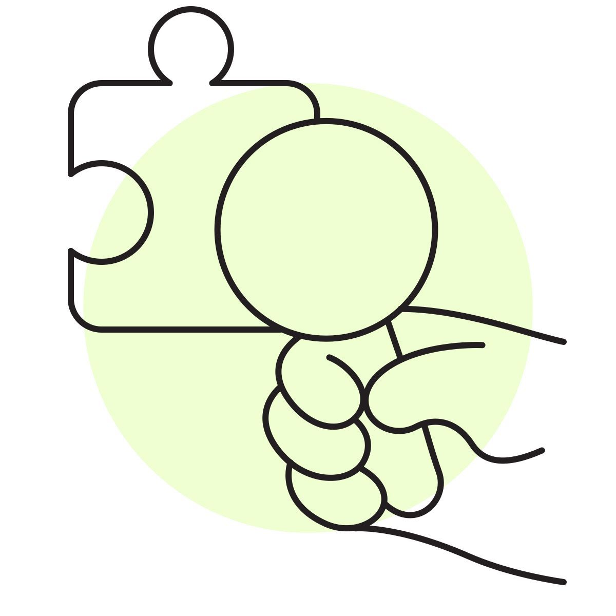 handsy style カメラのアドオンの識別 icon