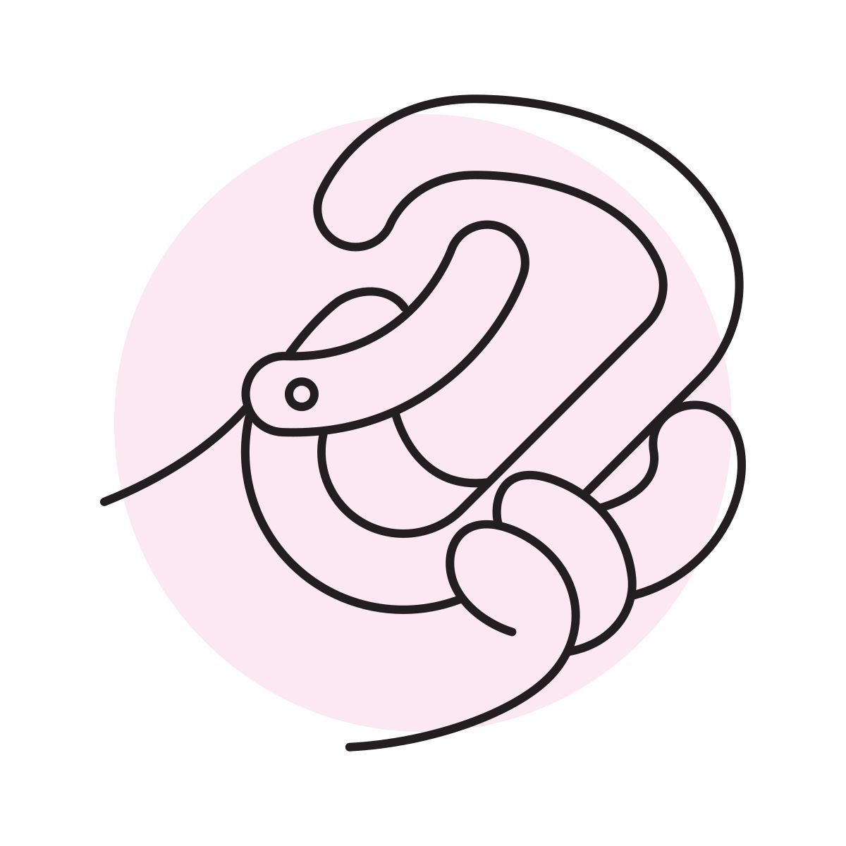 handsy style mosquetão icon