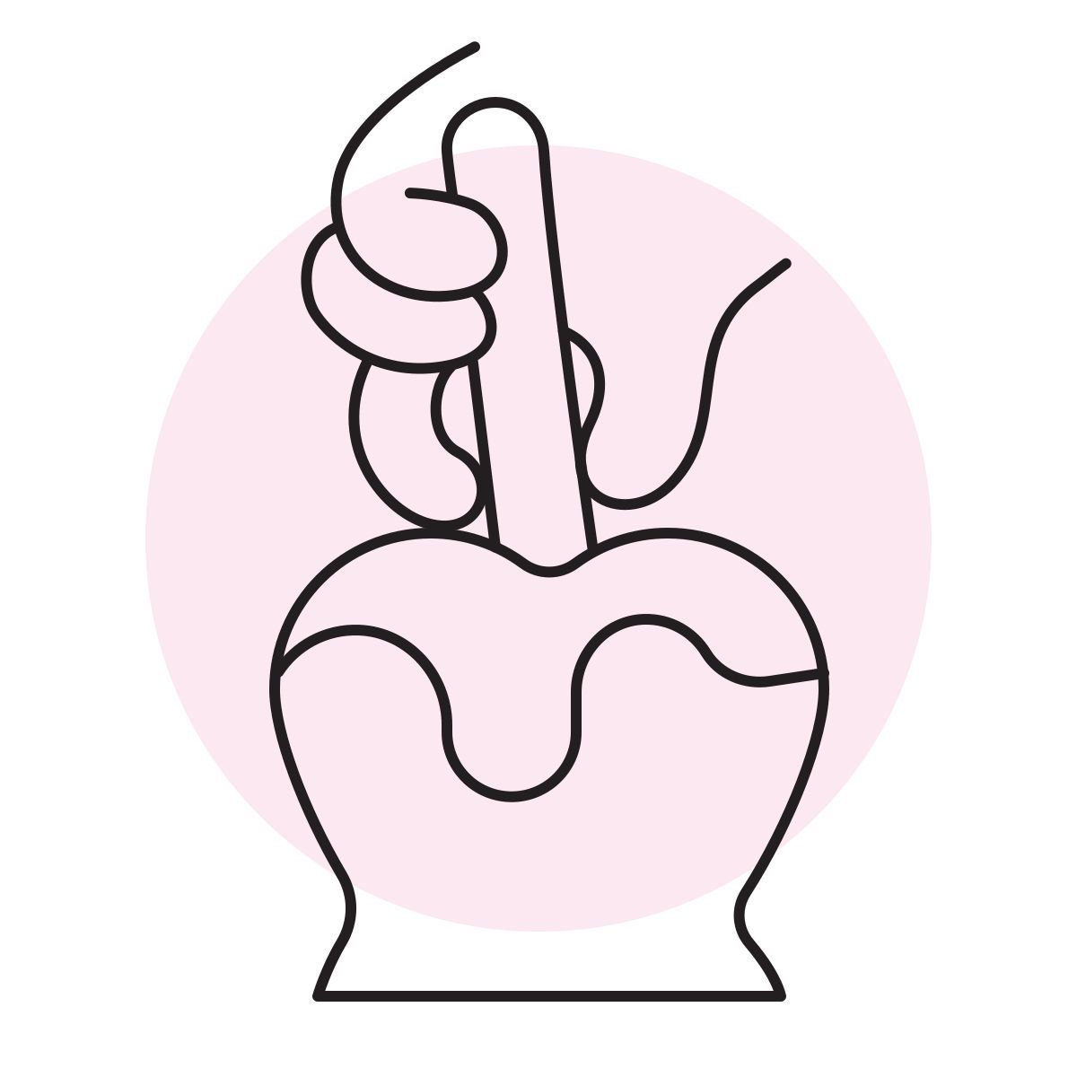 handsy style maçã caramelizada icon