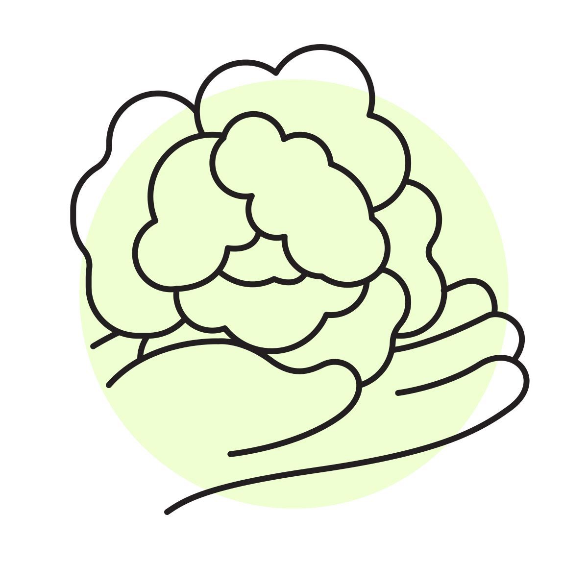 handsy style cavolfiore icon