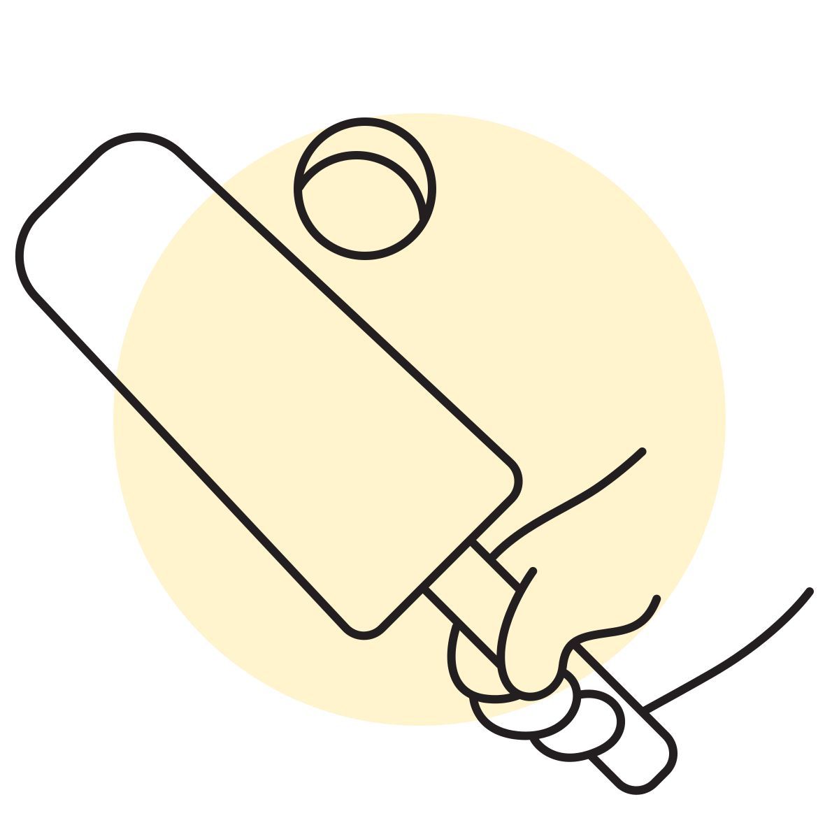 handsy style cricket icon