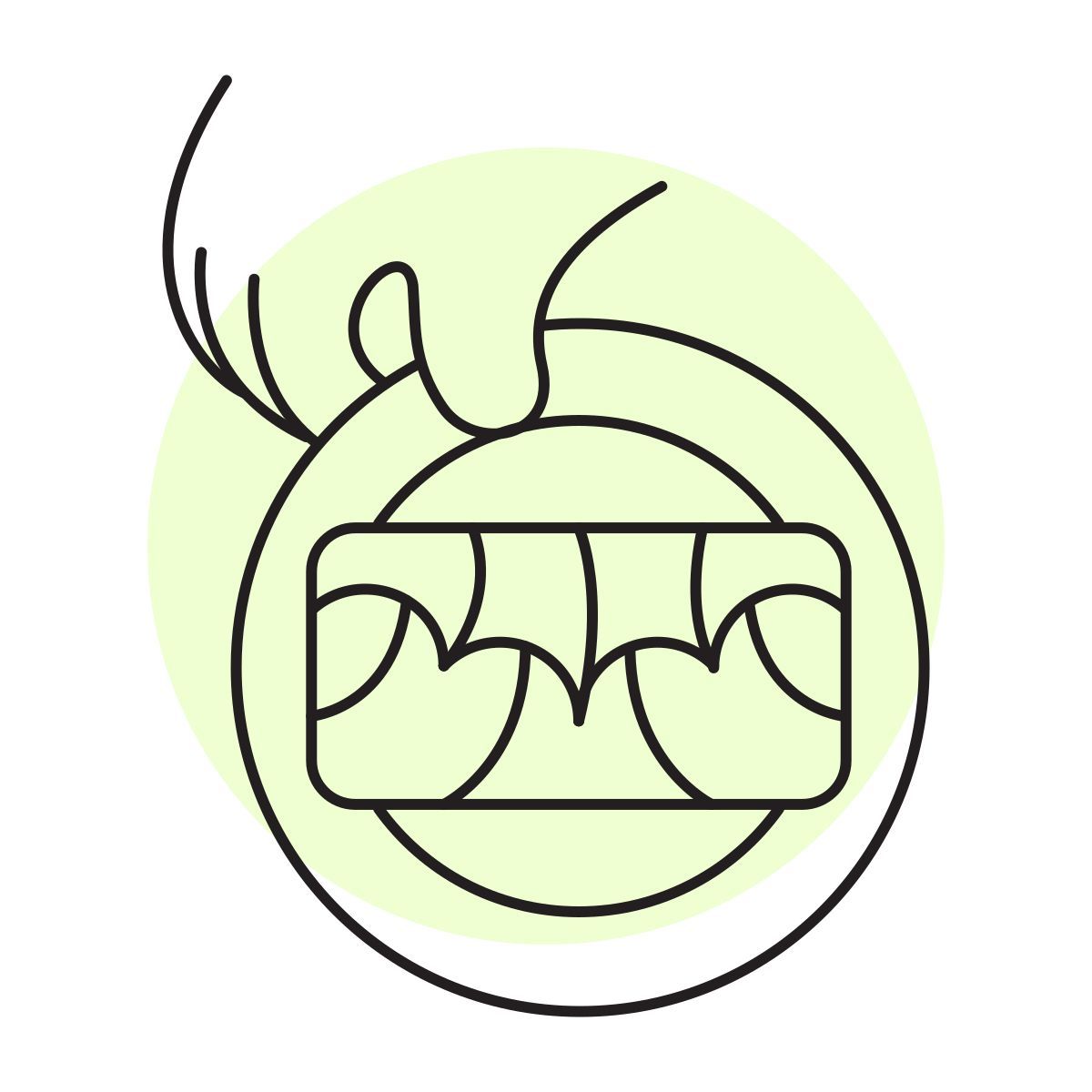 handsy style dolmades icon