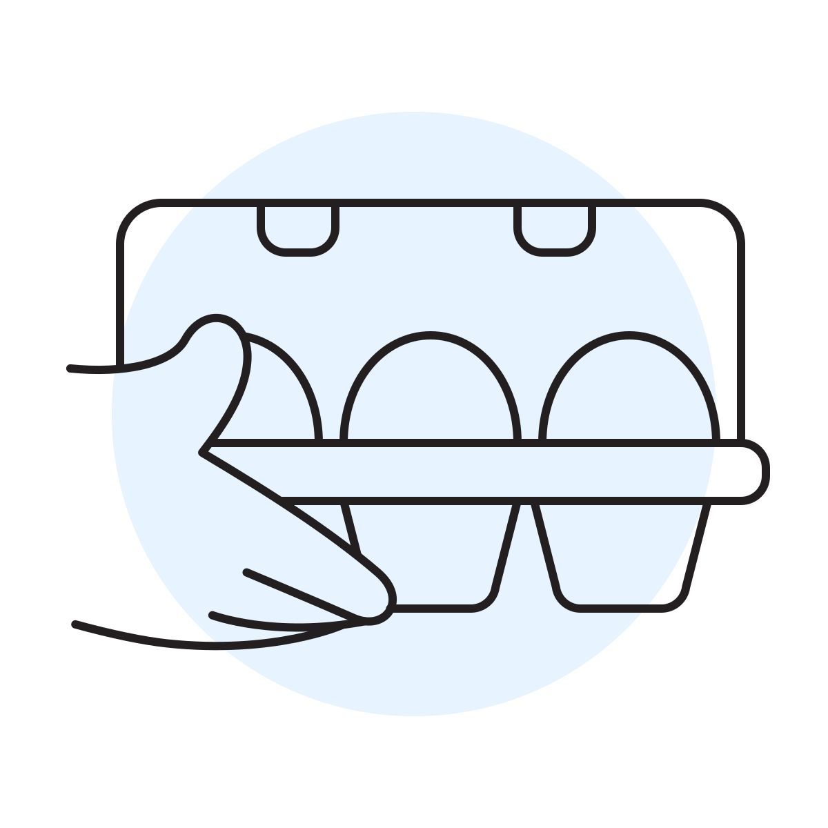 handsy style упаковка яиц icon