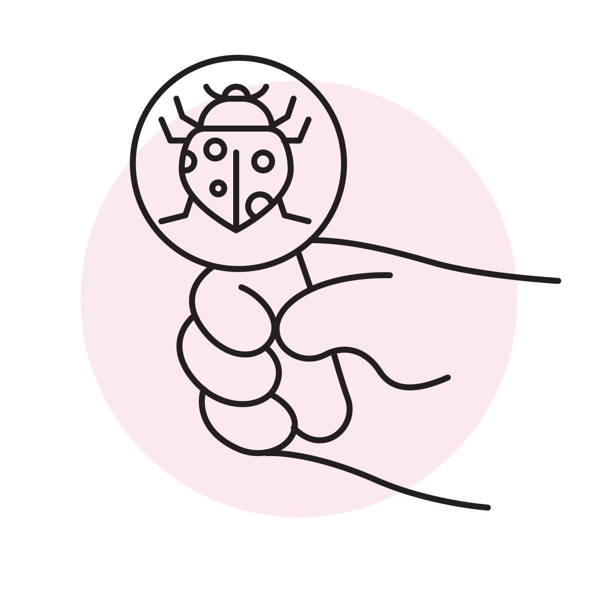 handsy style coccinelle icon