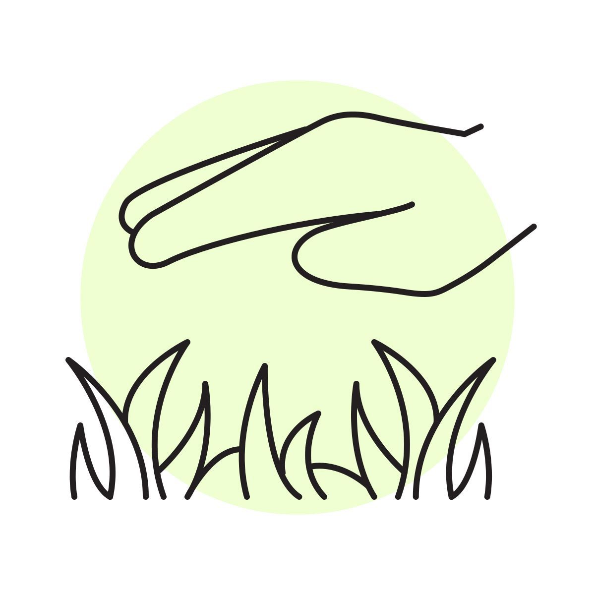 handsy style cuidado del césped icon
