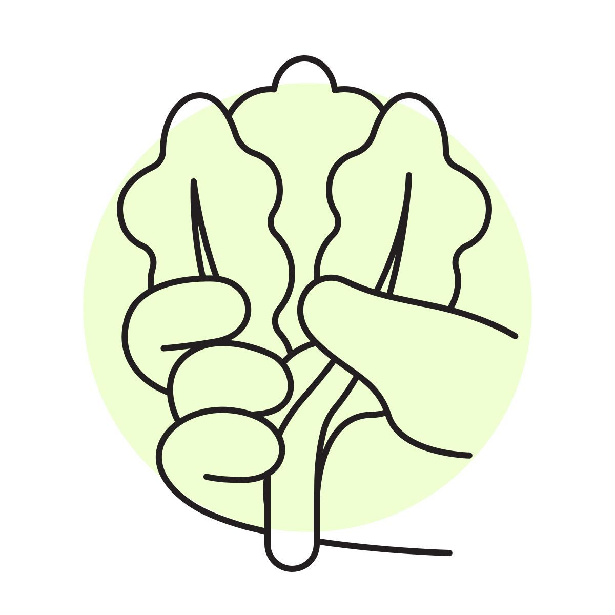 handsy style lattuga icon