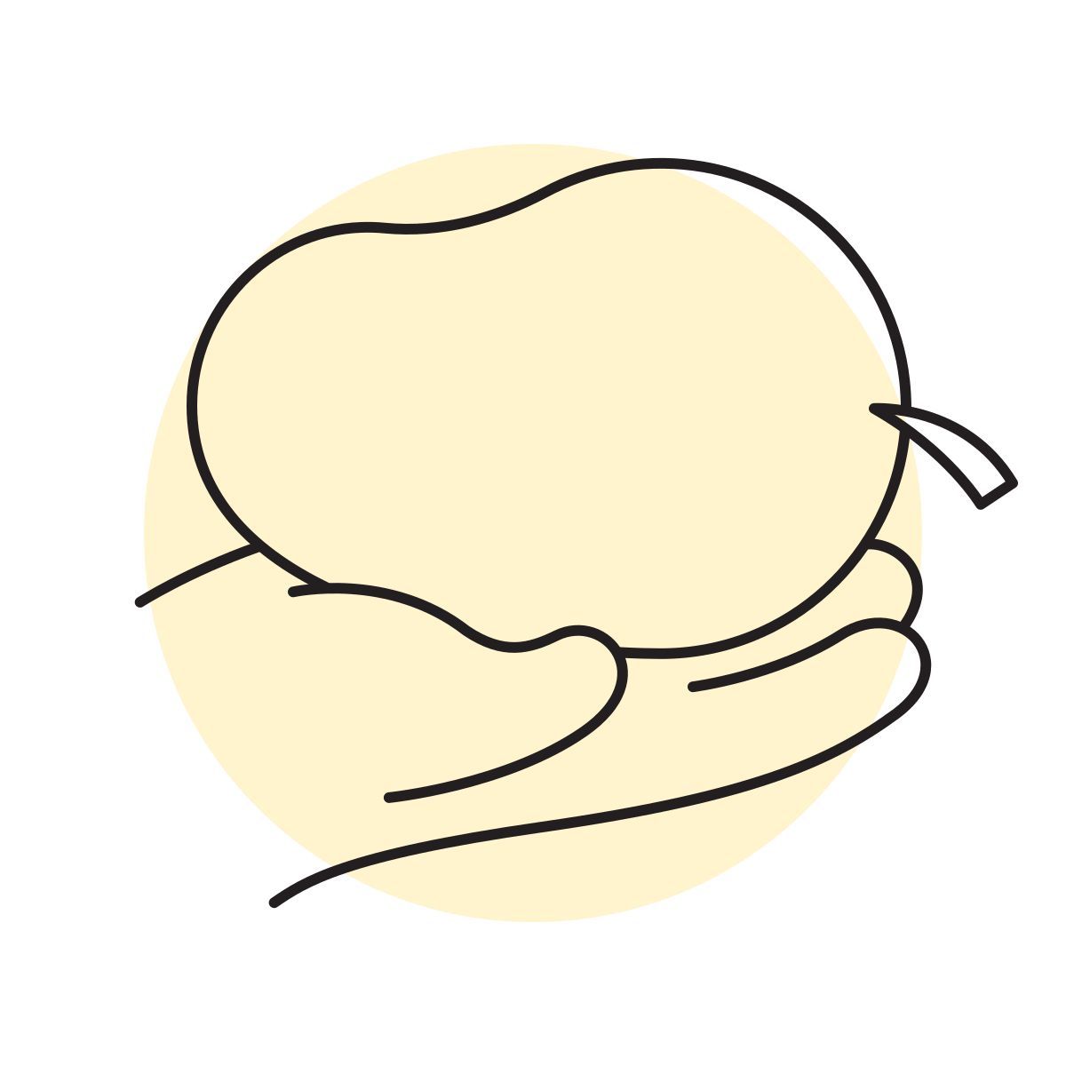 handsy style mango icon