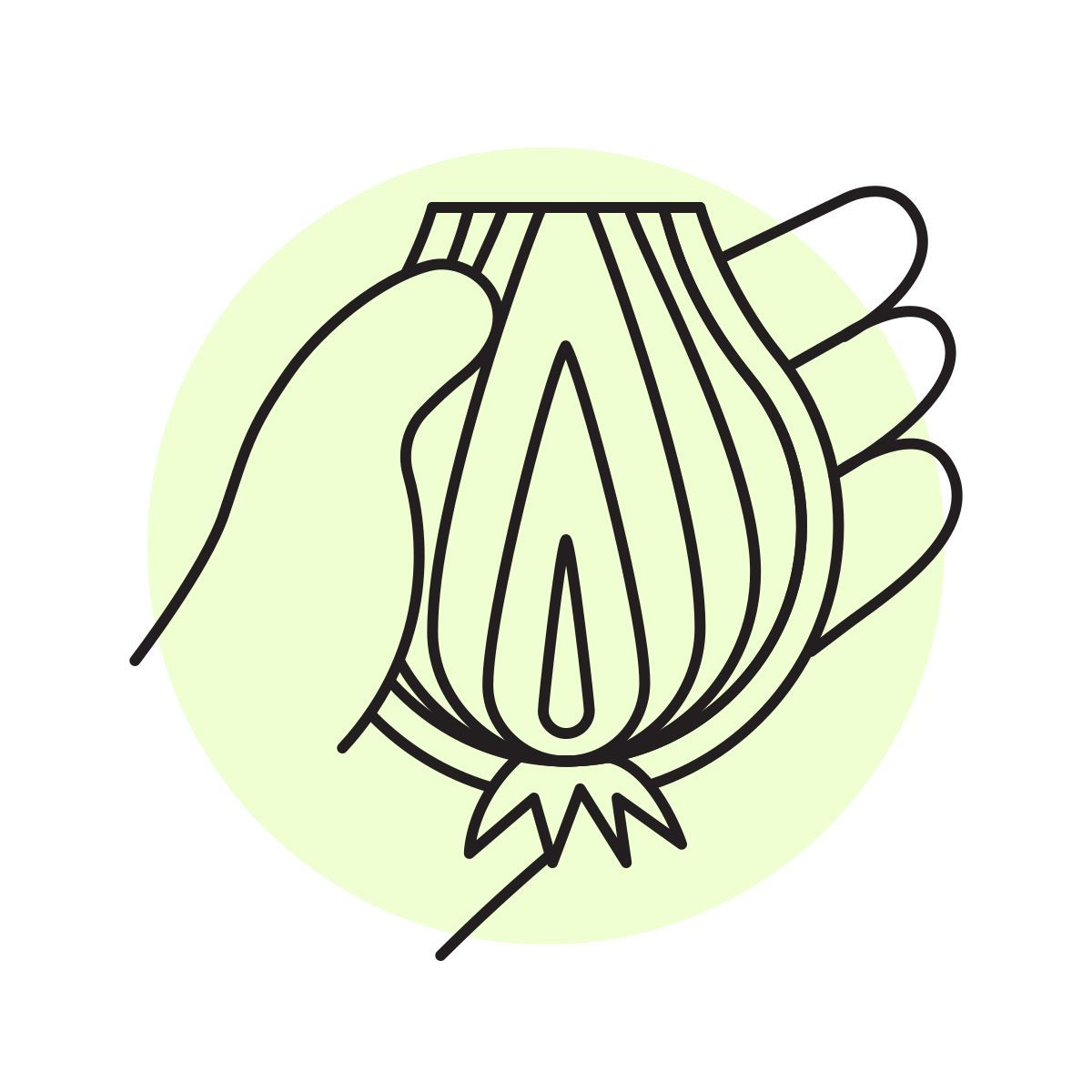 handsy style cebolla icon