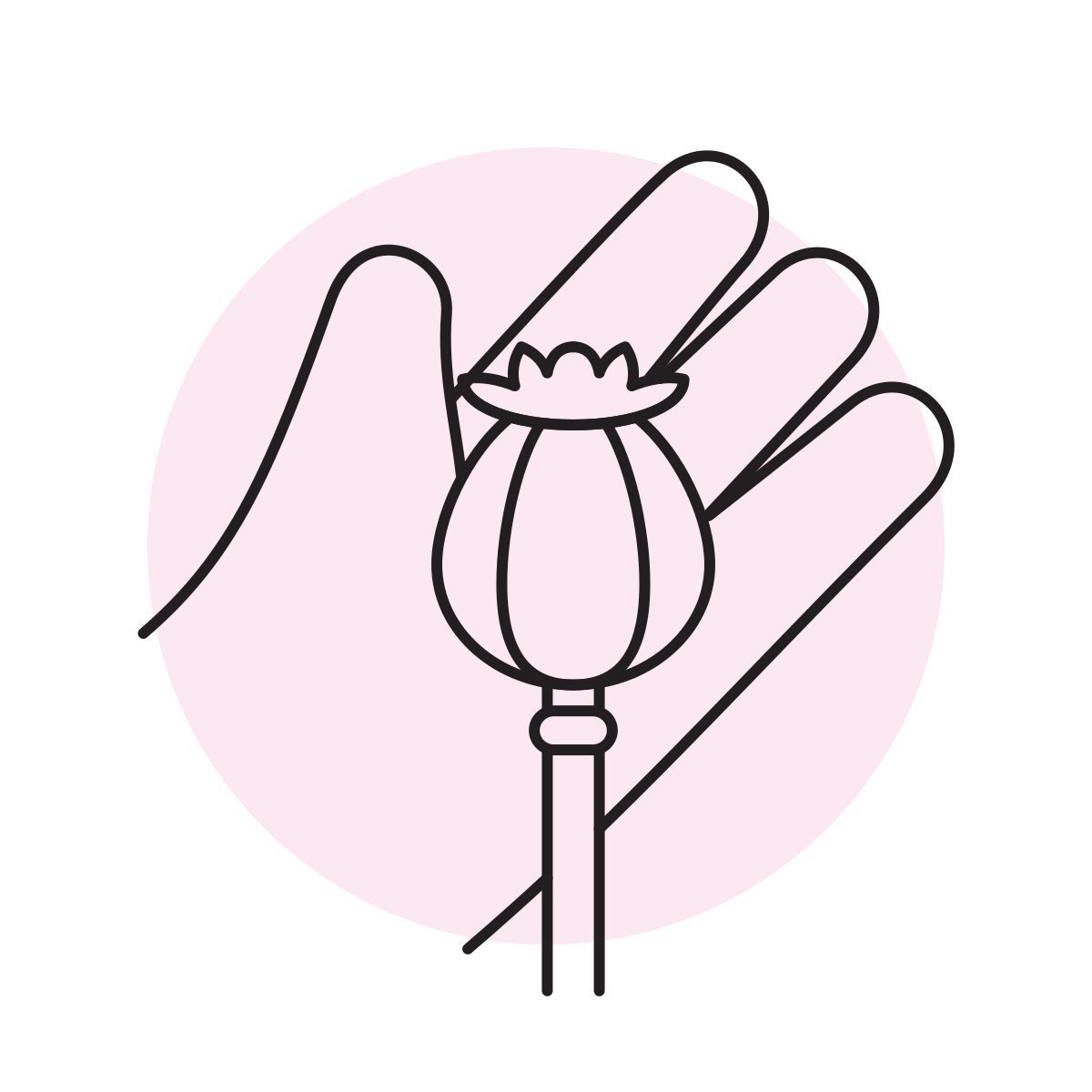 handsy style 씨앗 icon