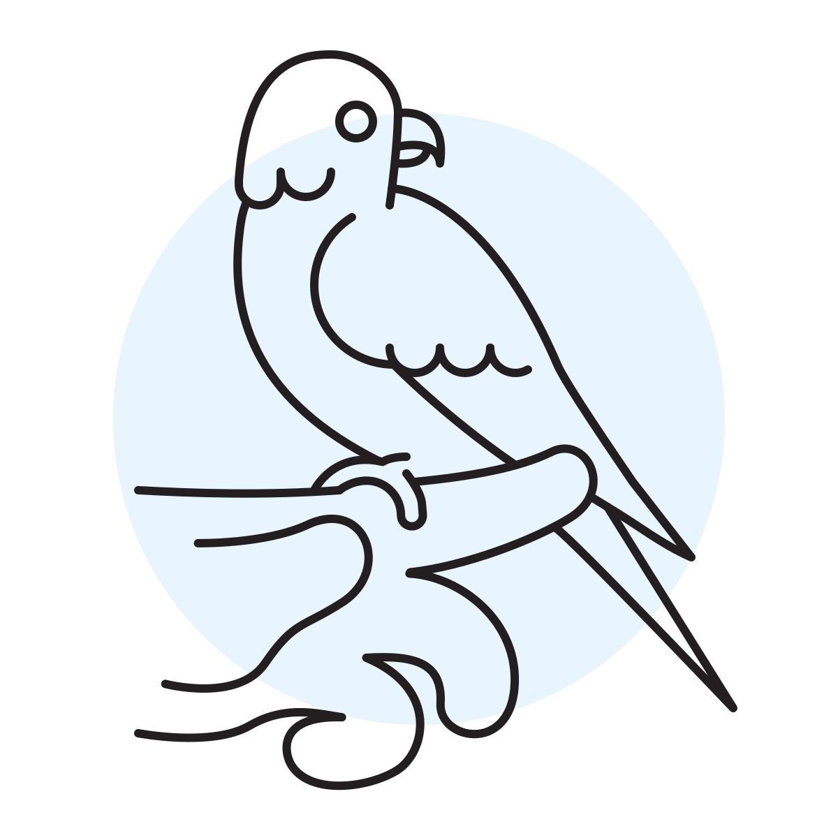 handsy style 鹦鹉 icon