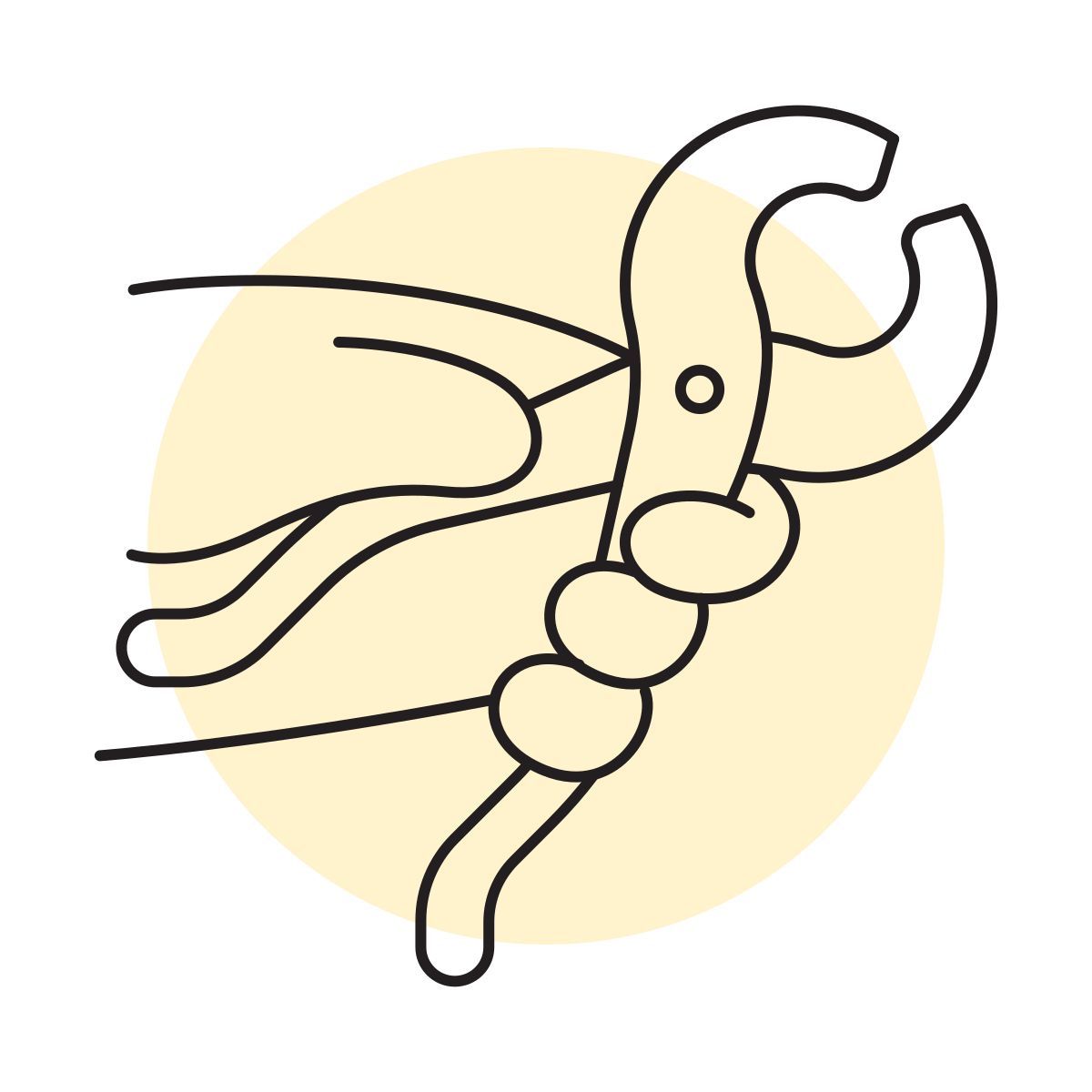 handsy style alicate icon