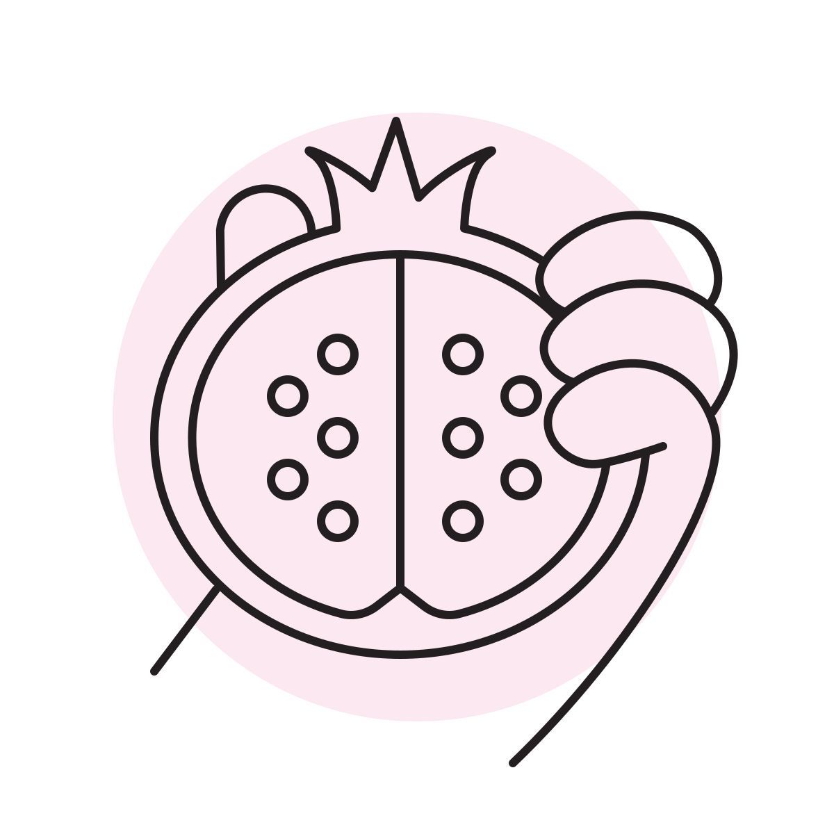 handsy style melograno icon