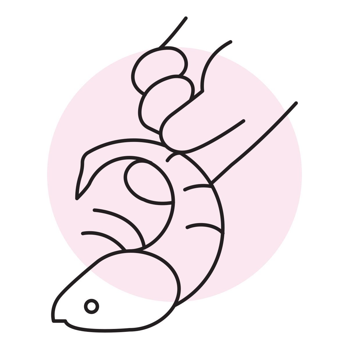 handsy style garnele icon