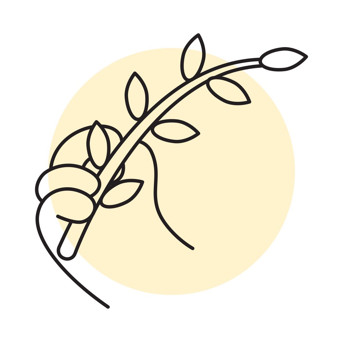 handsy style 여자 버드 icon