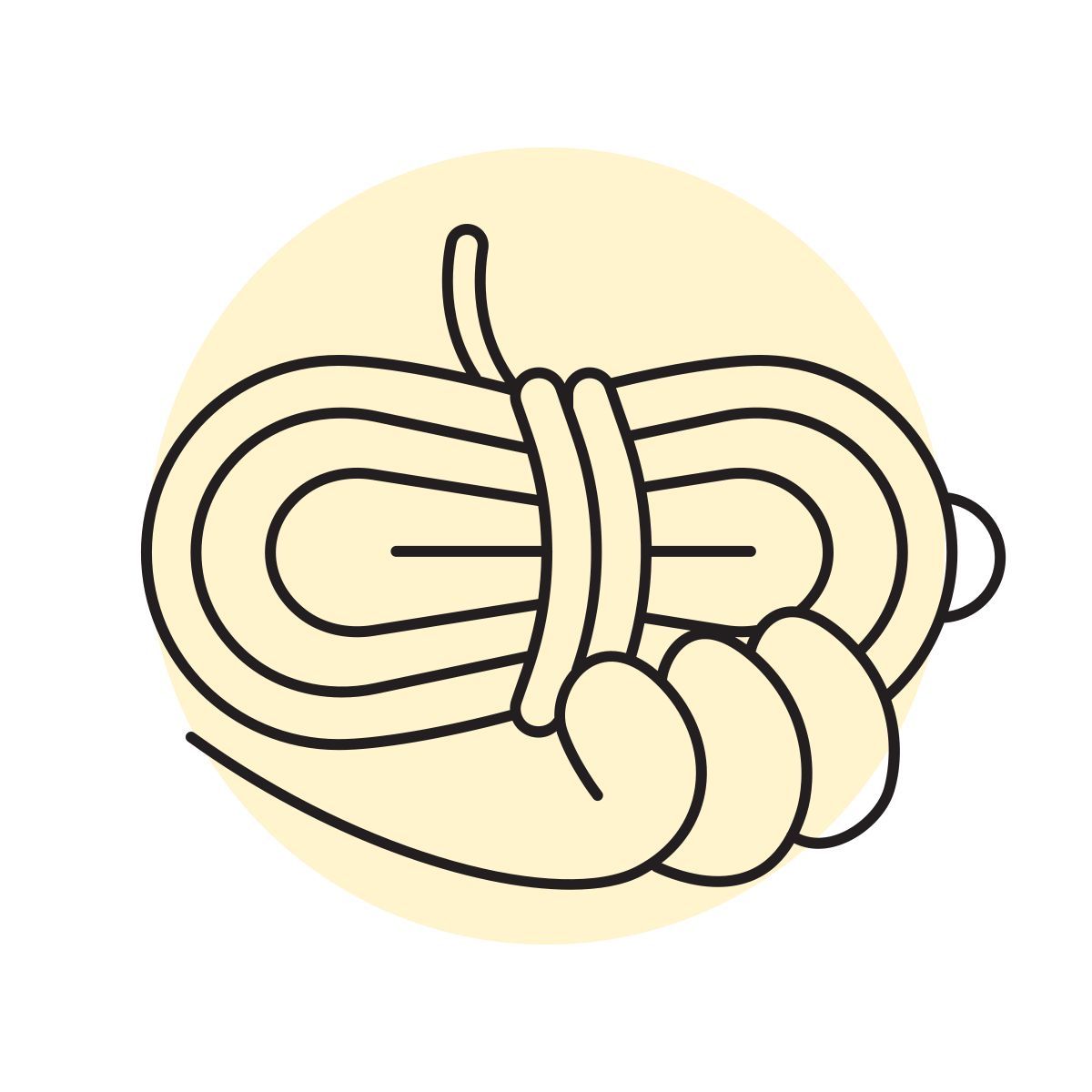 handsy style seil icon