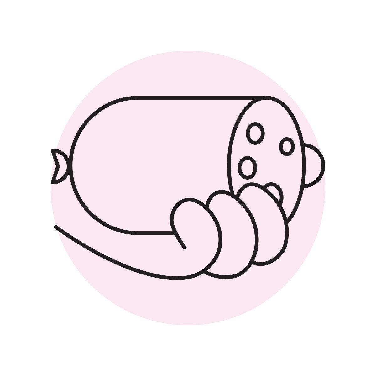 handsy style салями icon