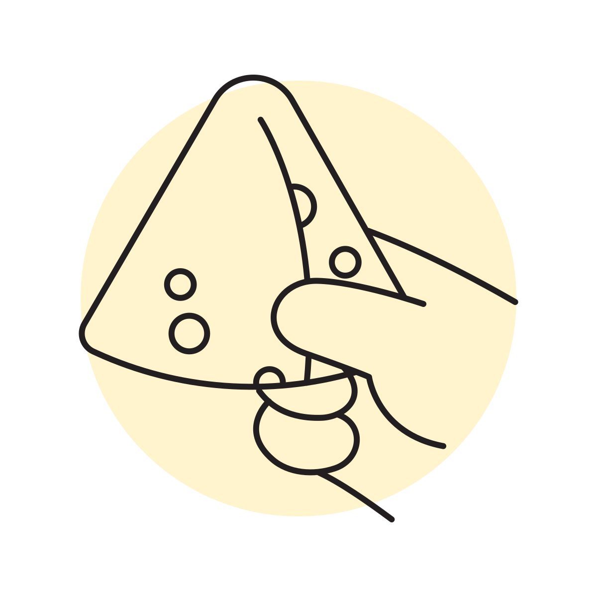 handsy style samoussa icon