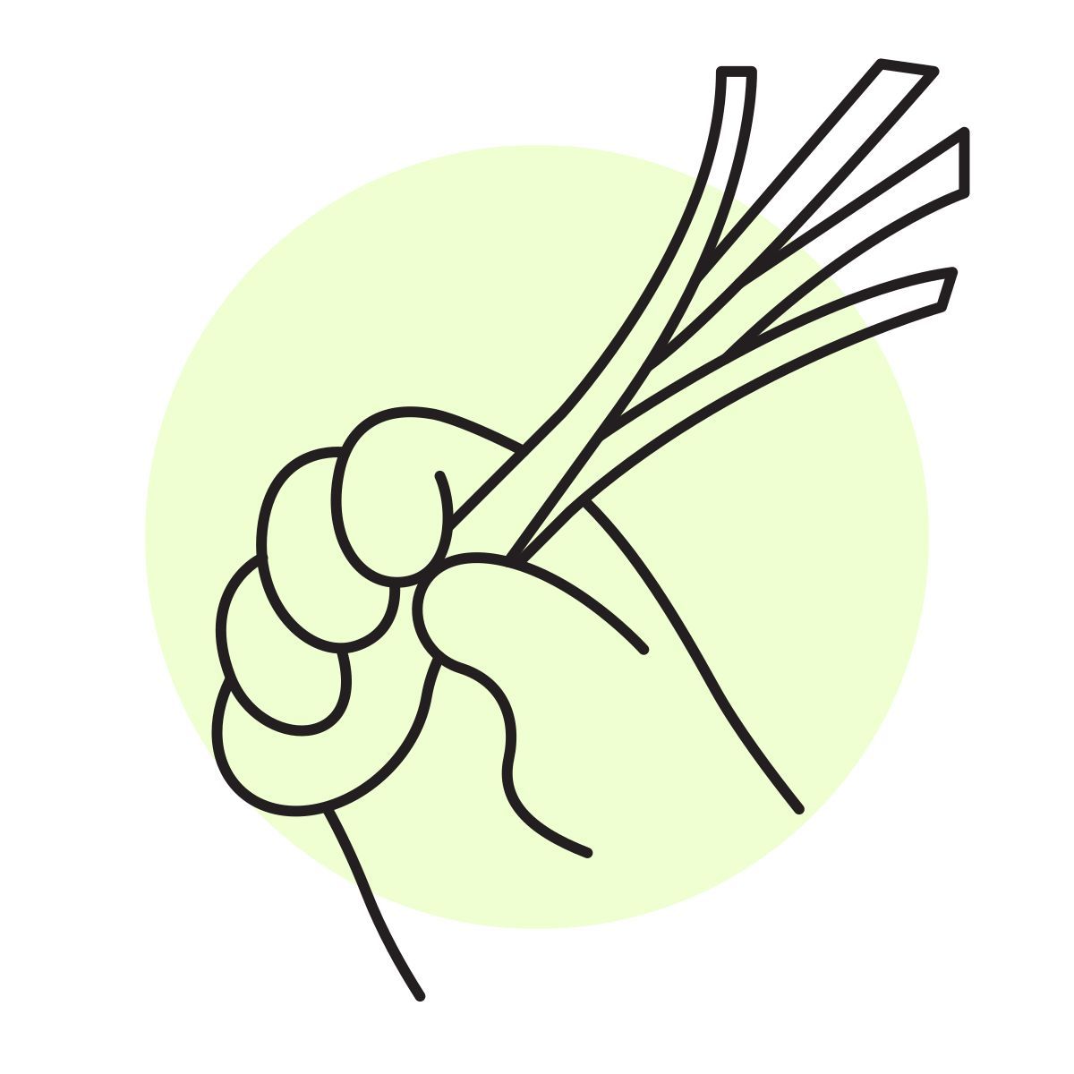 handsy style oignons verts icon
