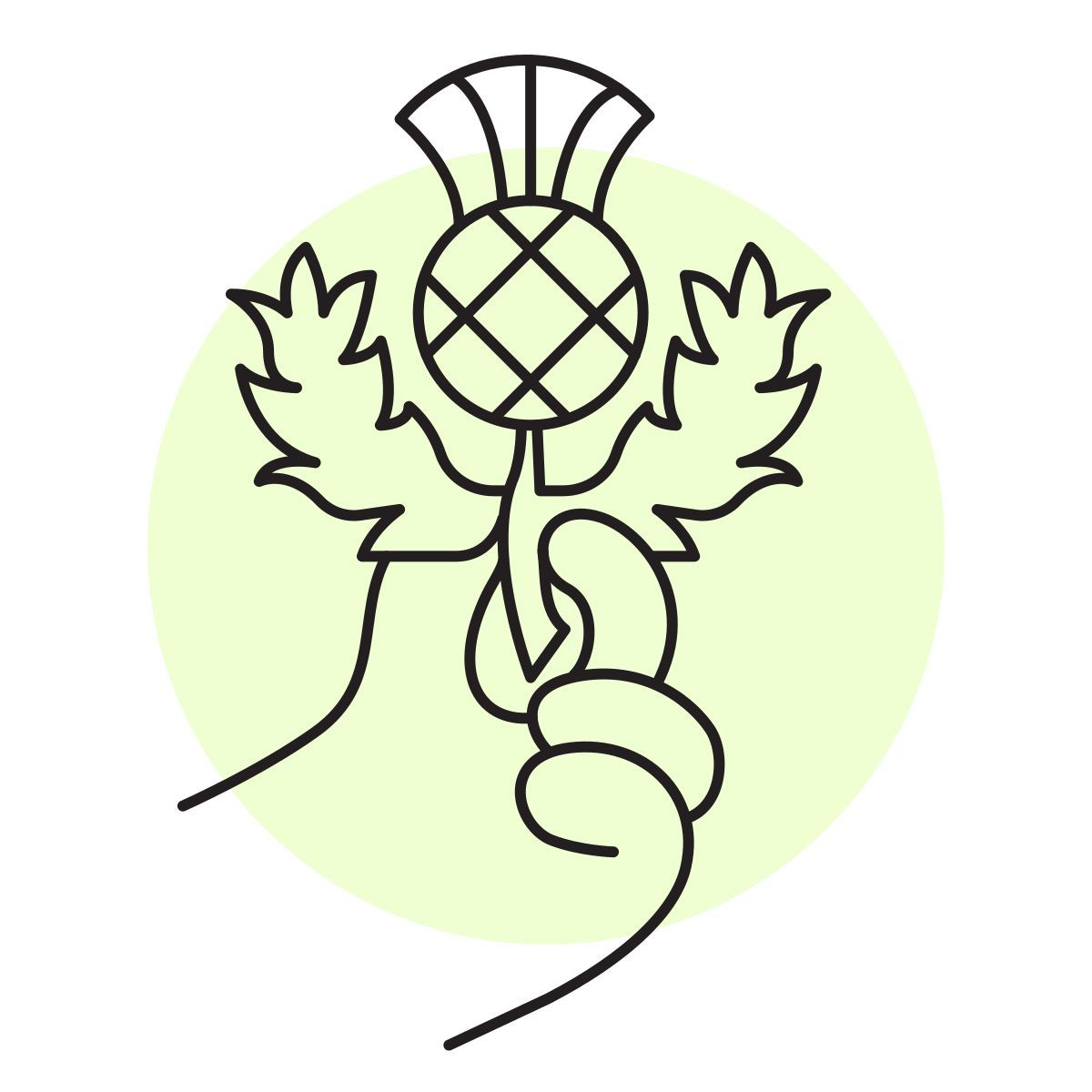 handsy style スコットランドシスル icon