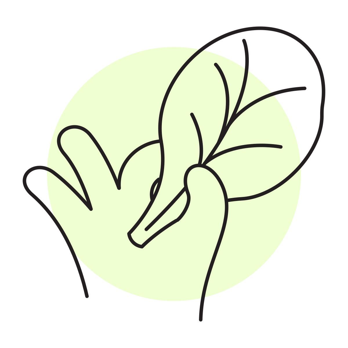handsy style шпинат icon
