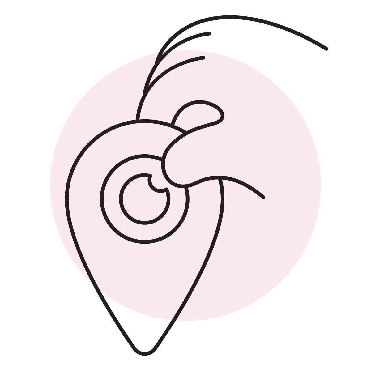 handsy style visita icon