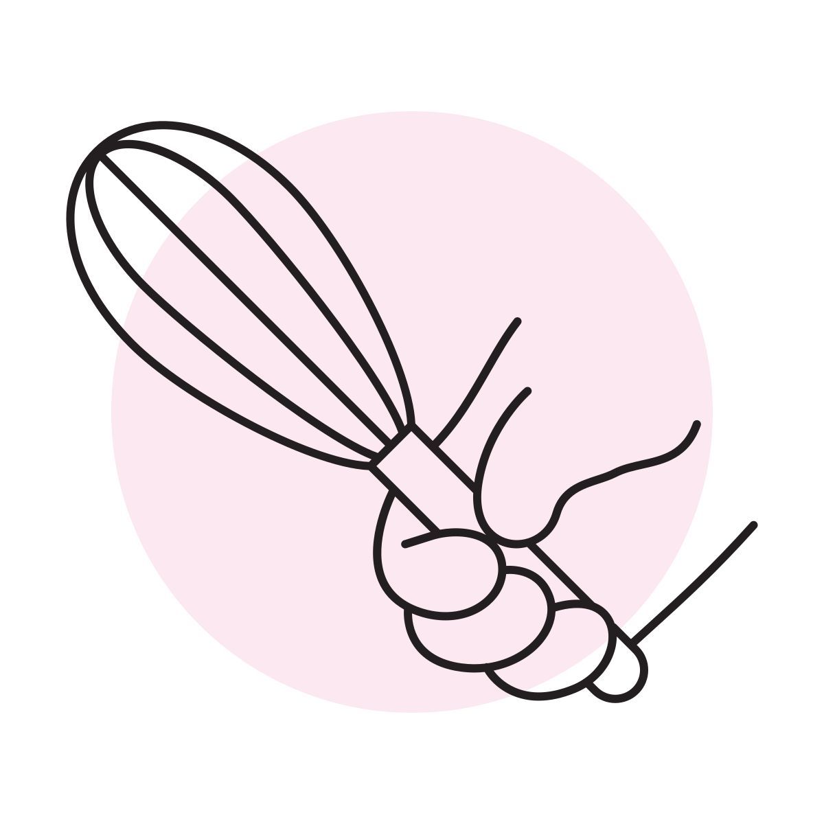 handsy style whisk icon