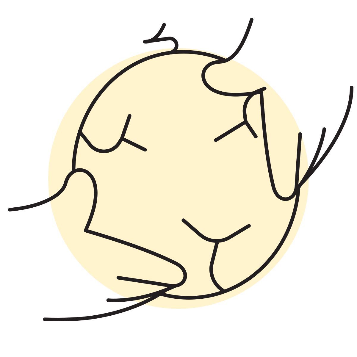 handsy style melão inteiro icon