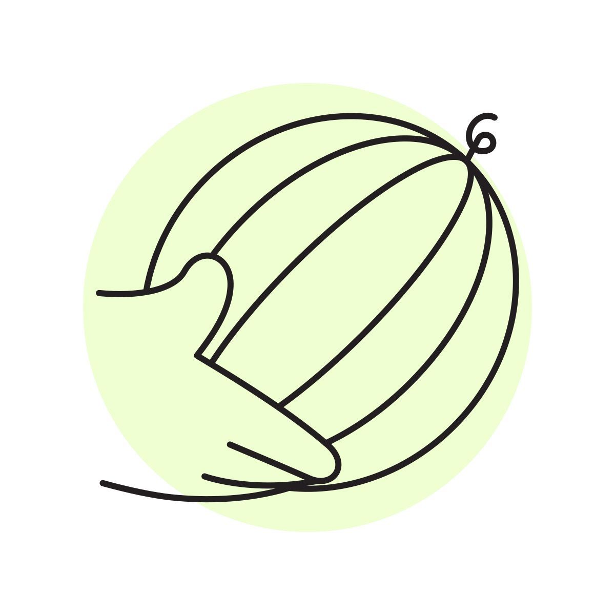 handsy style pastèque entière icon