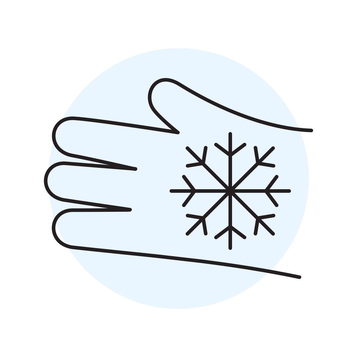 handsy style winter icon