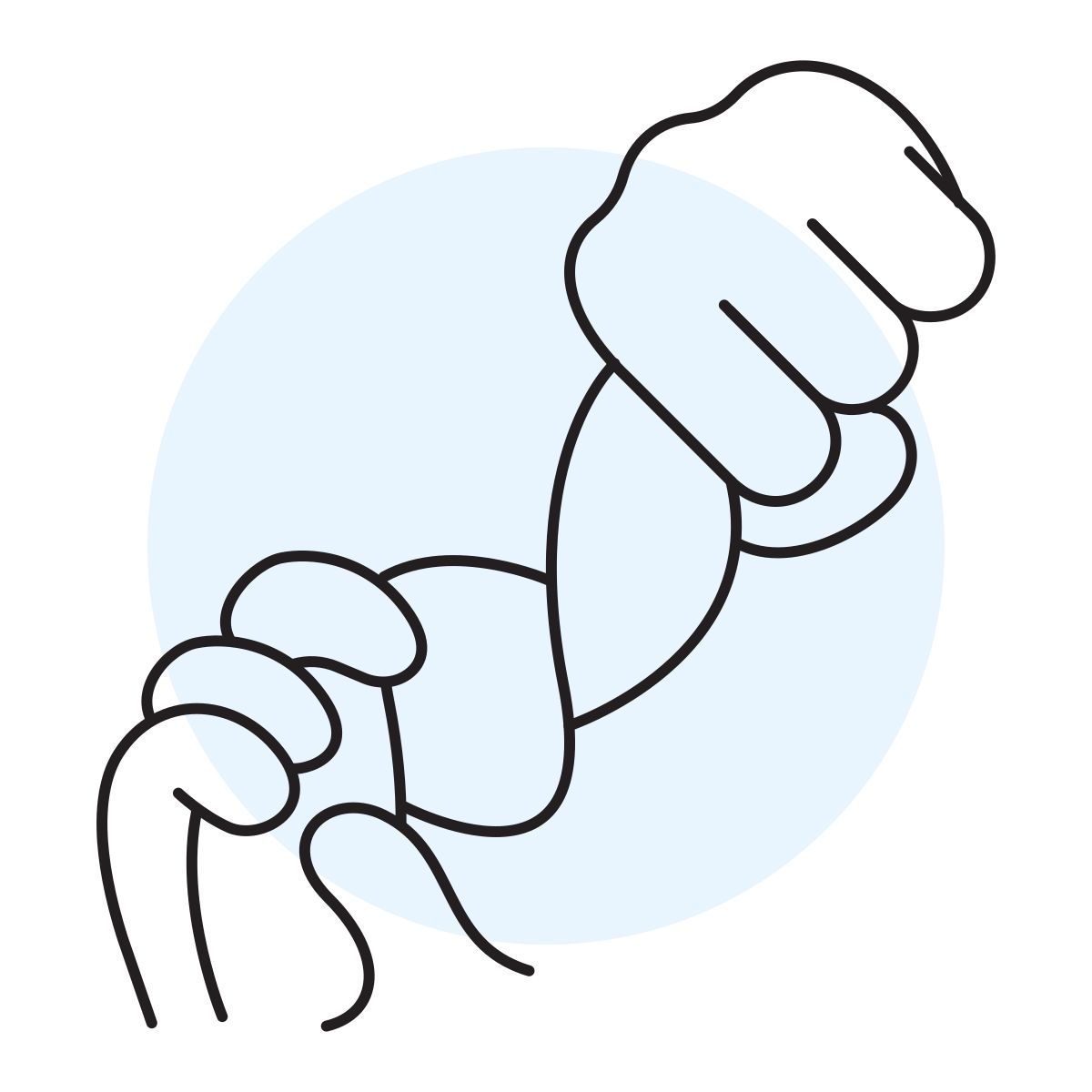 handsy style exprimir icon