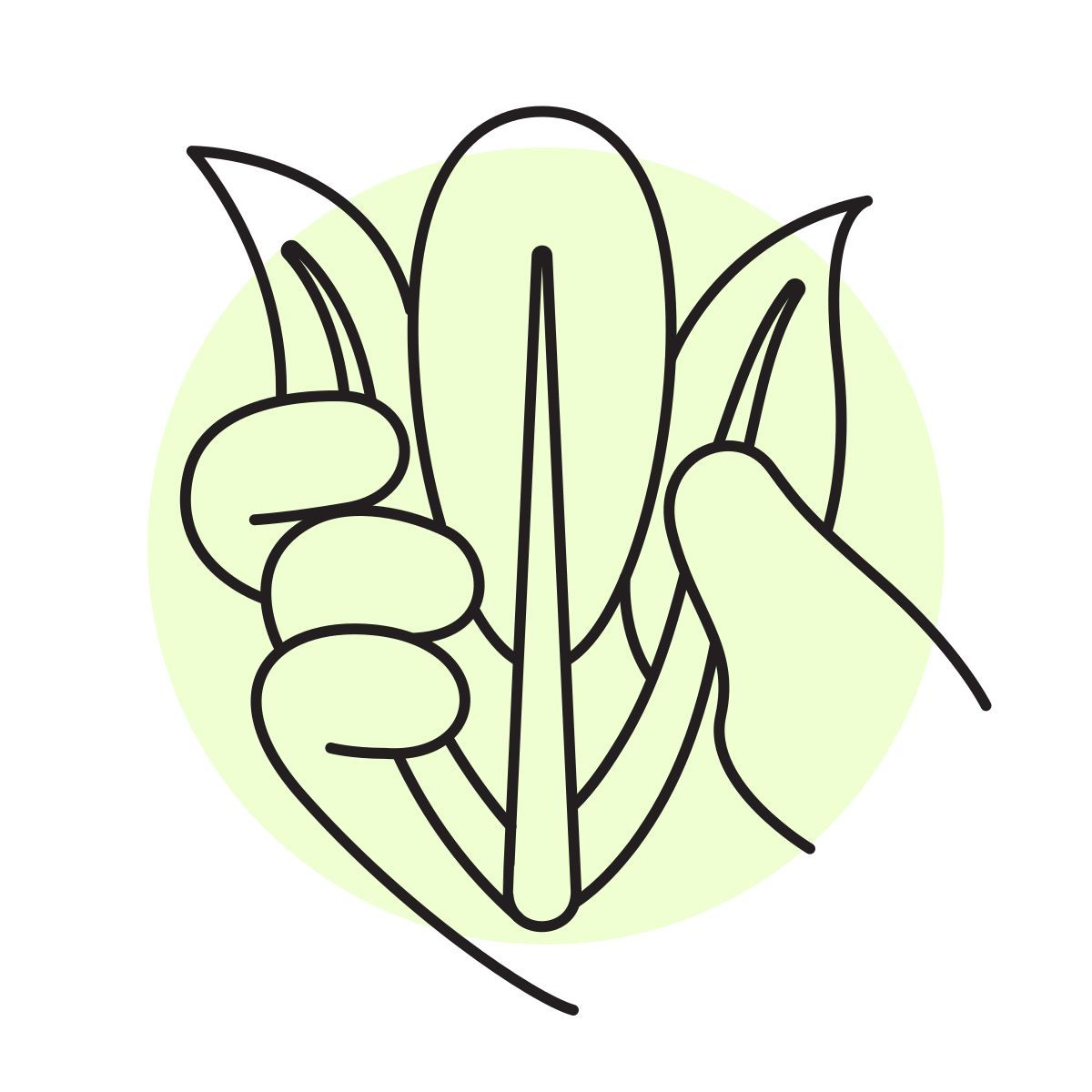 handsy style you choy icon