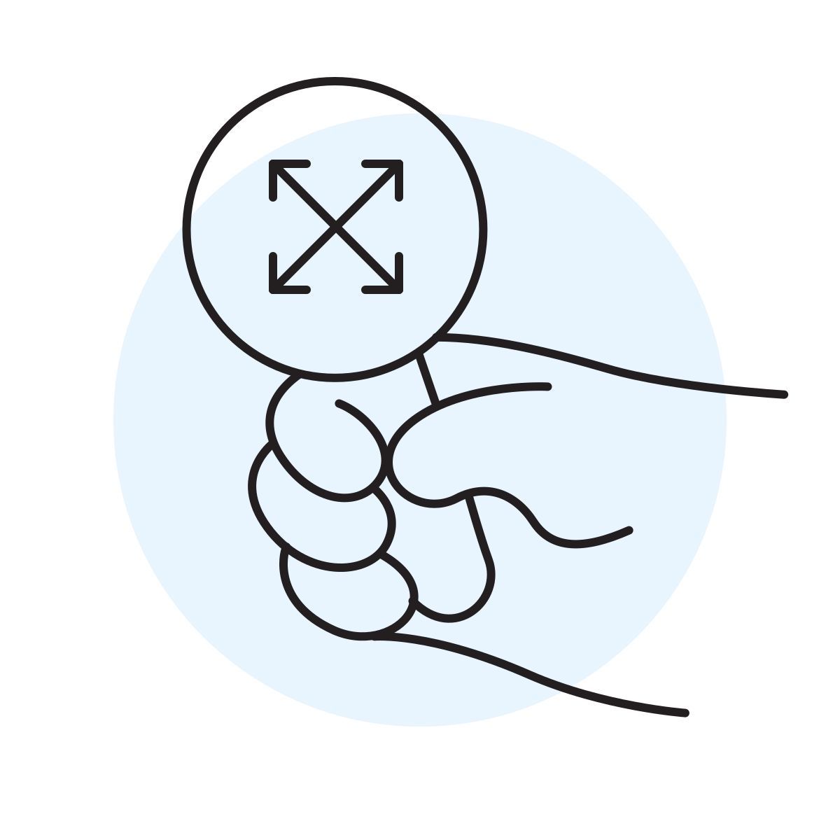 handsy style zoom to extents icon