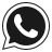 WhatsApp Icon