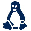 Linux Networking