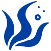 Alga Marinha