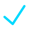 Execute Plan Icon