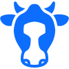 Sapi