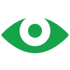 Vision