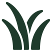 Yard & Lawn Care