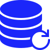 processor