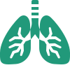 Lungs icon