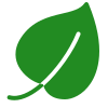 Eco Friendly