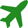 International Courier Icon